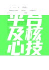 电子商务平台及核心技术发帖