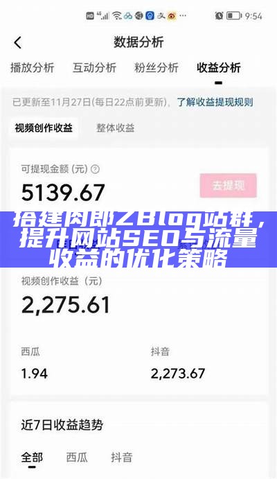 搭建肉郎ZBlog站群，提升网站SEO与流量收益的优化策略