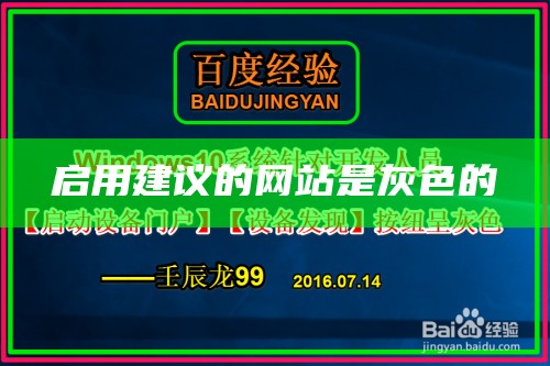 启用建议的网站是灰色的