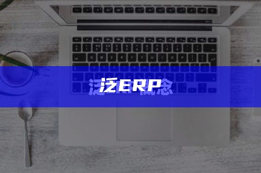 泛ERP