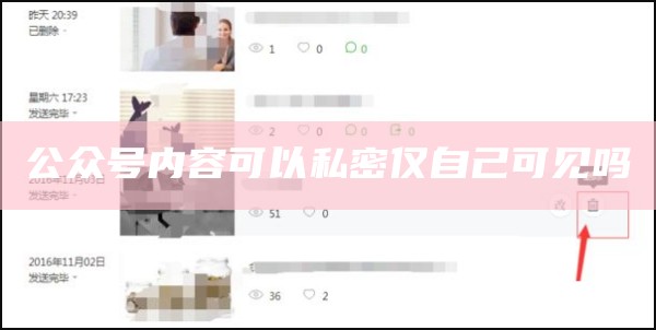 公众号内容可以私密仅自己可见吗