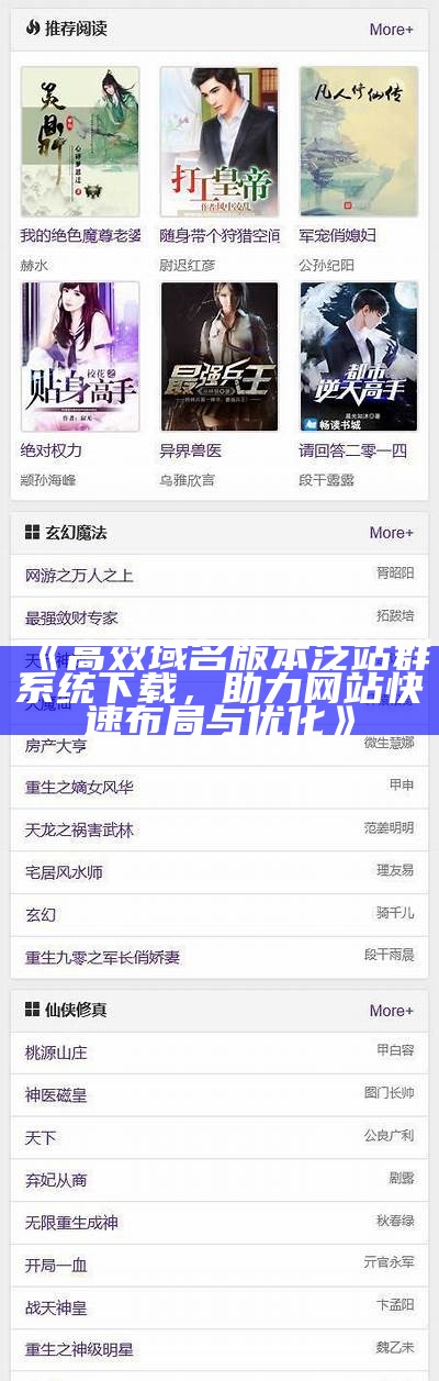 高效域名版本泛站群系统下载，助力网站快速布局与优化