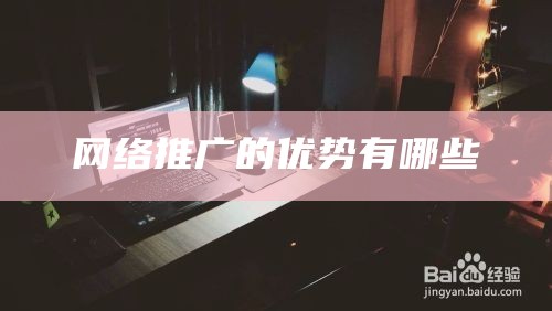 网络推广的优势