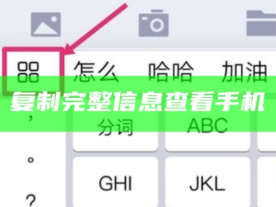 复制完整信息查看手机