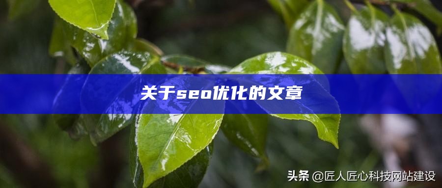 关于seo优化的文章