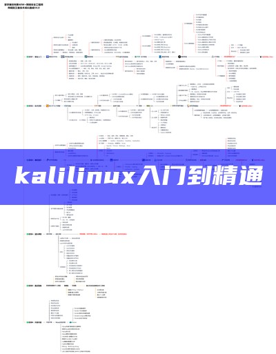 kalilinux入门到精通