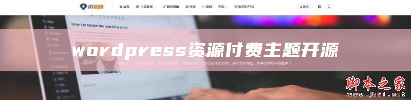 wordpress资源下载类主题源码