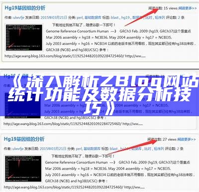 深入剖析Zblog网站浏览数真实资料的获取与检视方法