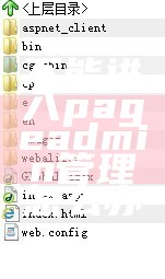 不能进入pageadmin管理怎么办