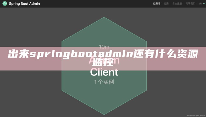 出来springbootadmin还有什么资源监控