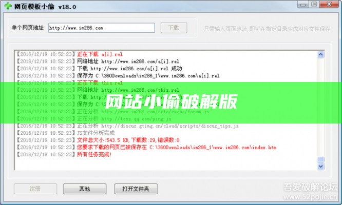 网站小偷破解版