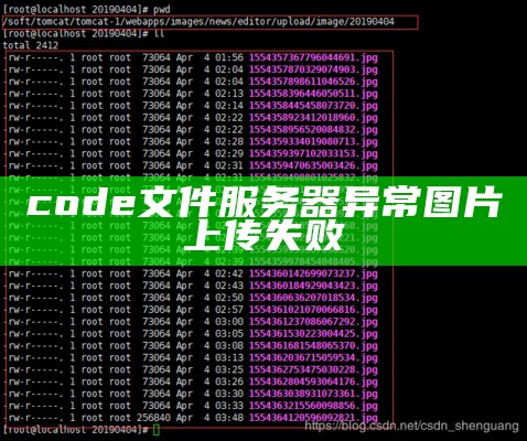 code文件服务器异常图片上传失败