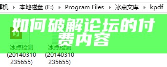 破解网站付费查看内容