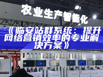 临安站群系统：提升网络营销效率的专业方法