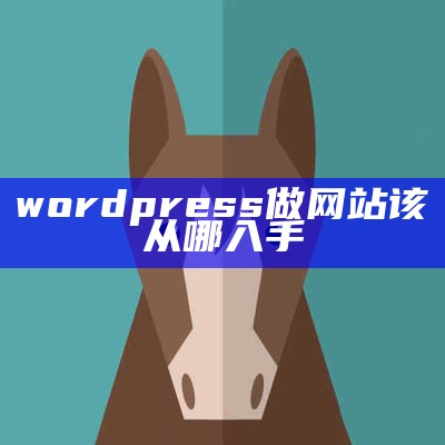 wordpress做网站该从哪入手