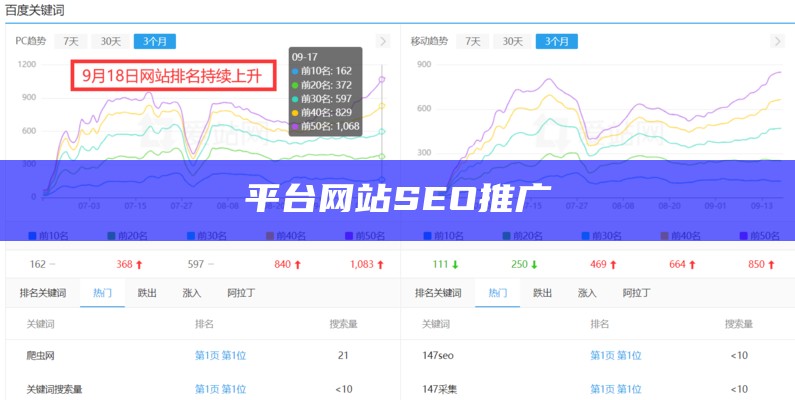 平台网站SEO推广