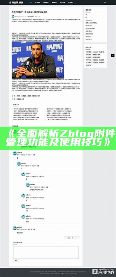 广泛解析ZBlog与淘宝结合的运营策略与实践案例