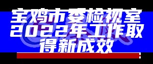 宝鸡市委检视室2022年工作取得新成效