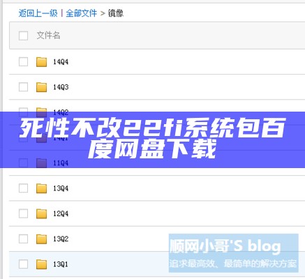 死性不改22fi系统包百度网盘下载