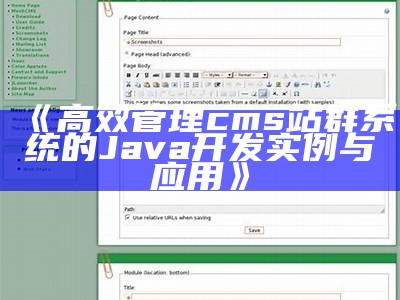 高效管理cms站群系统的Java开发实例与实践