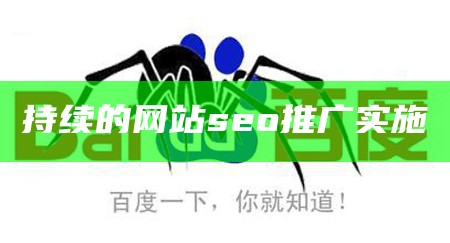 持续的网站seo推广实施