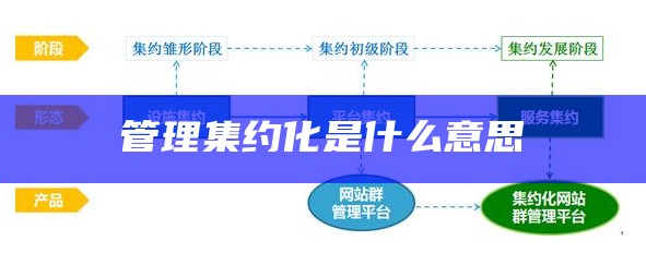 管理集约化是什么意思