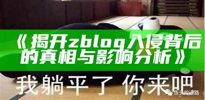 揭开zblog入侵背后的真相与影响调查