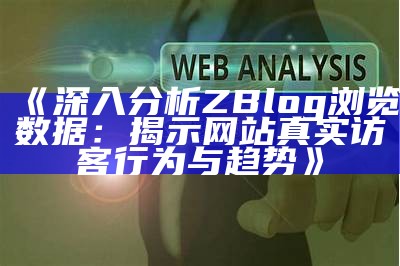 深入调查ZBlog浏览信息：揭示网站真实访客行为与方向