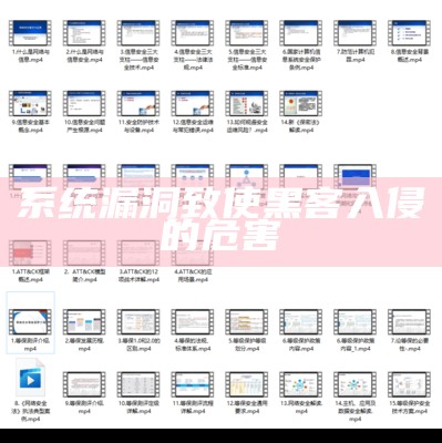 系统漏洞致使黑客入侵的危害