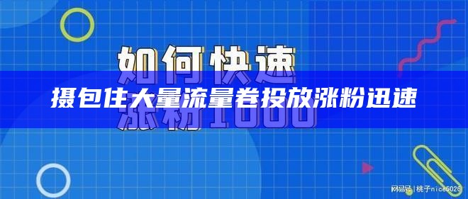 摄包住大量流量卷投放涨粉迅速