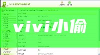vivi小偷程序