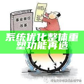 系统优化整体重塑功能再造