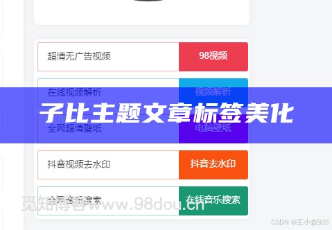 子比主题文章标签美化