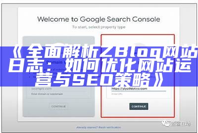 彻底解析ZBlog网站日志：如何优化网站运营与SEO策略