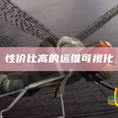 性价比高的运维可视化