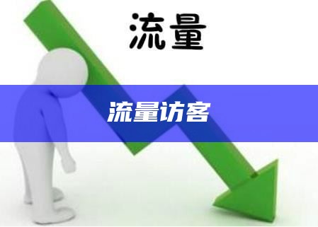 流量访客