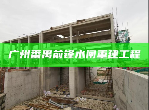 广州番禺前锋水闸重建工程