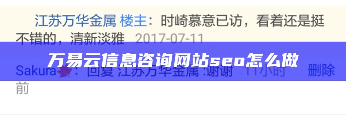 万易云信息咨询网站seo怎么做