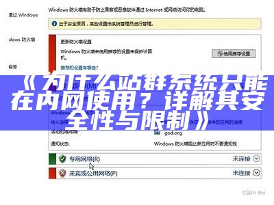 为什么站群系统只能在内网使用？详解其安全性与限制