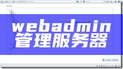 webadmin管理服务器