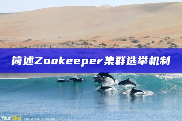 简述Zookeeper集群选举机制