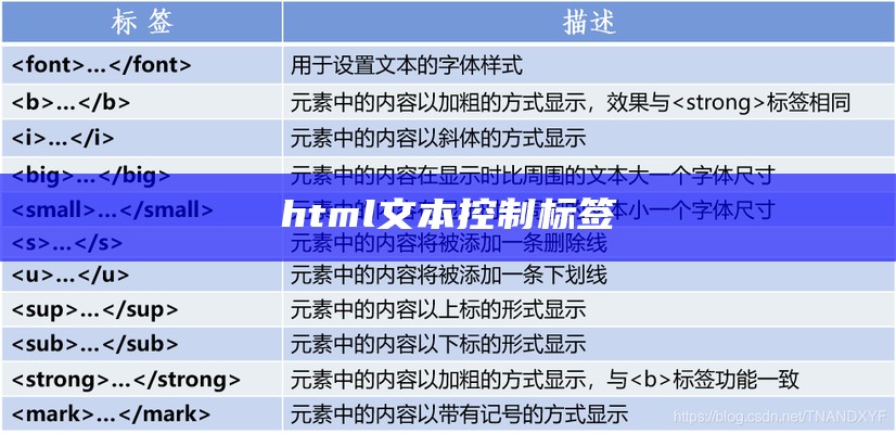 html文本控制标签