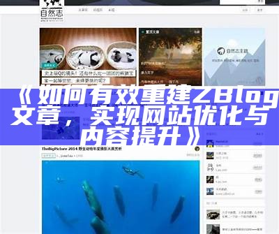 如何有效进行ZBlog文章重建，提高网站内容质量与搜索引擎收录率