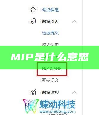 MIP是什么意思