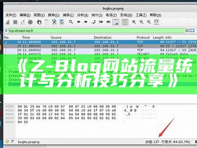 Z-Blog 网站流量统计与调查技巧分享