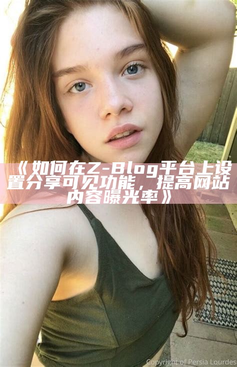 如何访问Z-Blog后台地址：详细步骤与注意事项