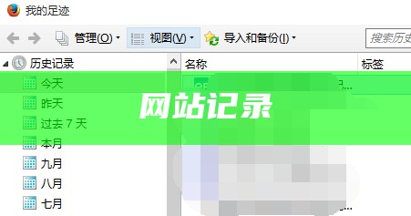 网站记录