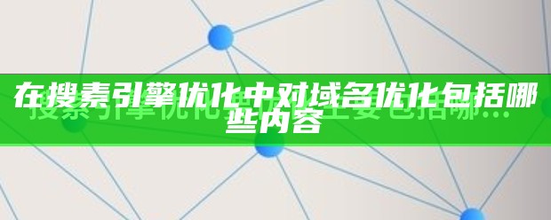 在搜素引擎优化中对域名优化包括哪些内容